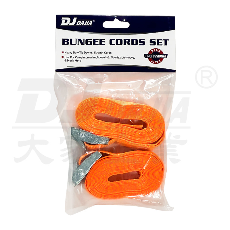 1 "(25 mm) Boat Buckle Tie Down Riraps met dubbele J Hook